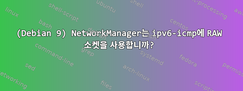 (Debian 9) NetworkManager는 ipv6-icmp에 RAW 소켓을 사용합니까?