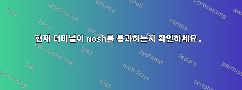 현재 터미널이 mosh를 통과하는지 확인하세요.