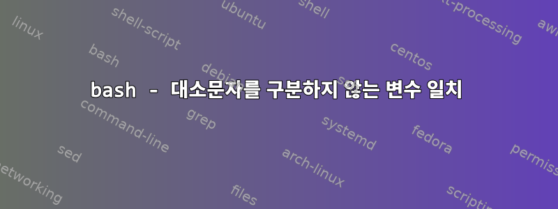 bash - 대소문자를 구분하지 않는 변수 일치