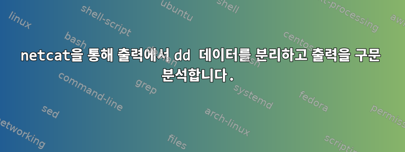 netcat을 통해 출력에서 ​​dd 데이터를 분리하고 출력을 구문 분석합니다.