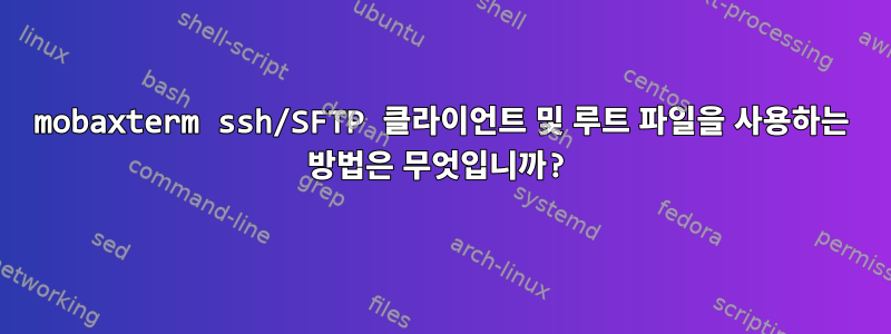 mobaxterm ssh/SFTP 클라이언트 및 루트 파일을 사용하는 방법은 무엇입니까?