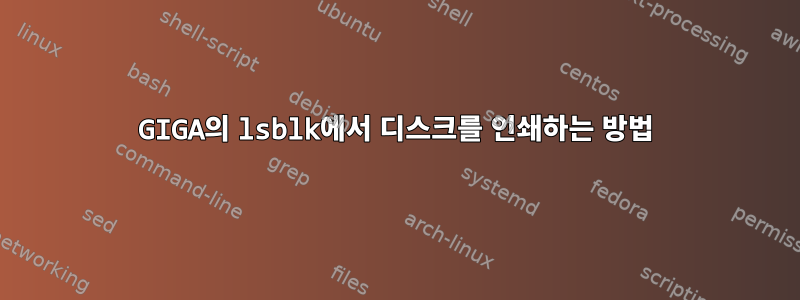 GIGA의 lsblk에서 디스크를 인쇄하는 방법