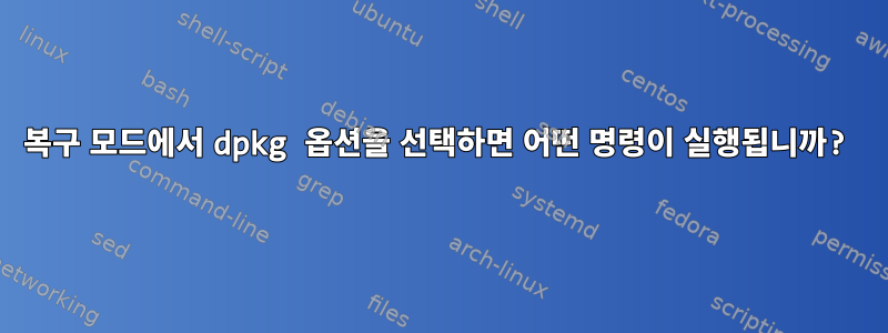 복구 모드에서 dpkg 옵션을 선택하면 어떤 명령이 실행됩니까?