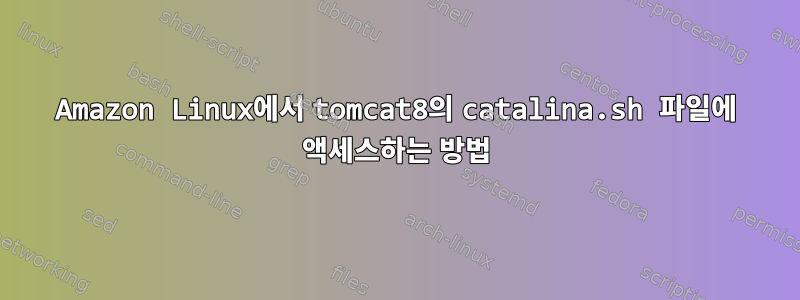 Amazon Linux에서 tomcat8의 catalina.sh 파일에 액세스하는 방법