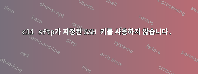 cli sftp가 지정된 SSH 키를 사용하지 않습니다.