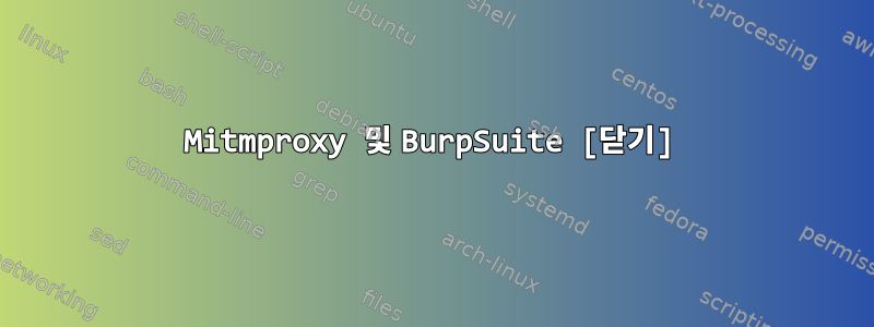 Mitmproxy 및 BurpSuite [닫기]