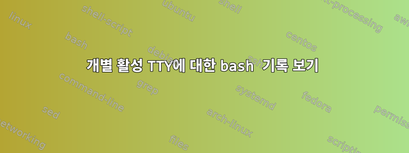 개별 활성 TTY에 대한 bash 기록 보기