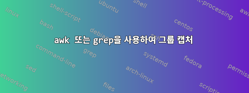 awk 또는 grep을 사용하여 그룹 캡처