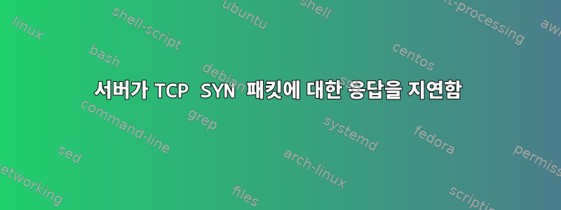 서버가 TCP SYN 패킷에 대한 응답을 지연함