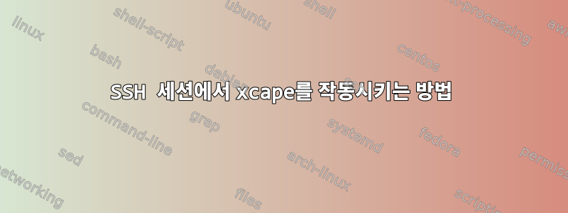 SSH 세션에서 xcape를 작동시키는 방법