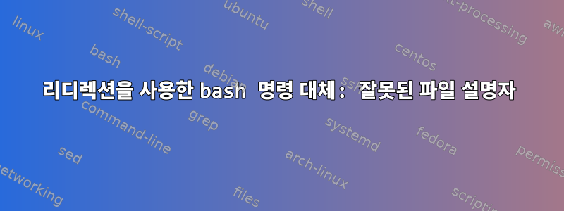 리디렉션을 사용한 bash 명령 대체: 잘못된 파일 설명자