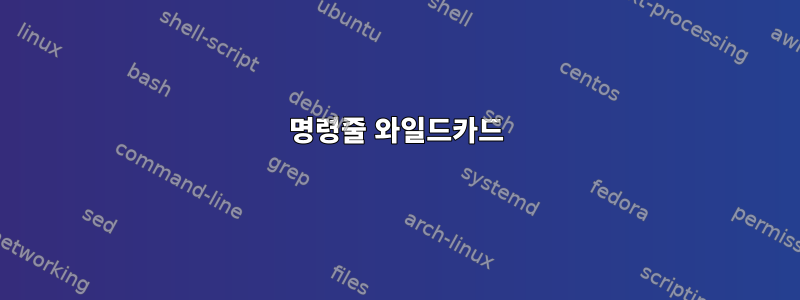 명령줄 와일드카드