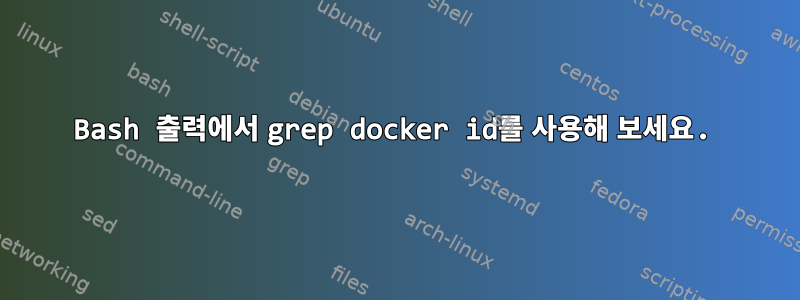 Bash 출력에서 ​​grep docker id를 사용해 보세요.