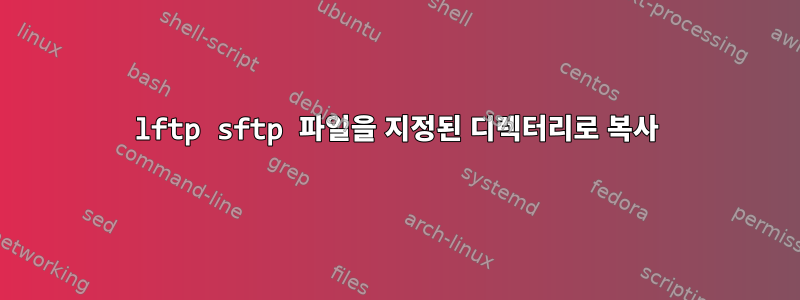 lftp sftp 파일을 지정된 디렉터리로 복사