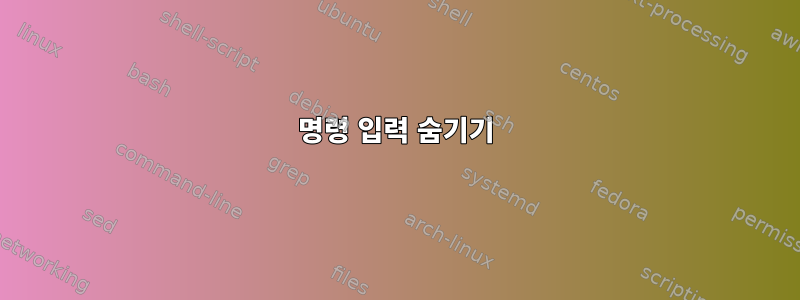 명령 입력 숨기기