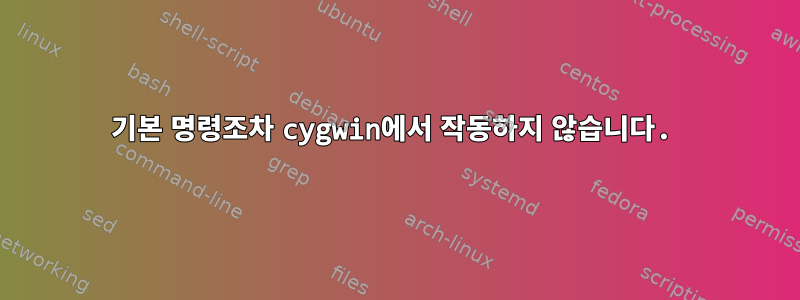 기본 명령조차 cygwin에서 작동하지 않습니다.