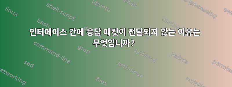 인터페이스 간에 응답 패킷이 전달되지 않는 이유는 무엇입니까?