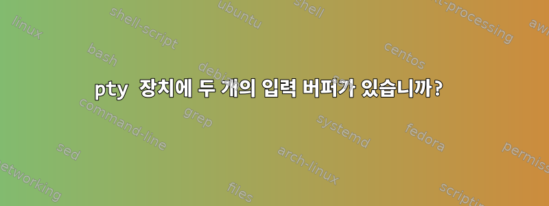 pty 장치에 두 개의 입력 버퍼가 있습니까?