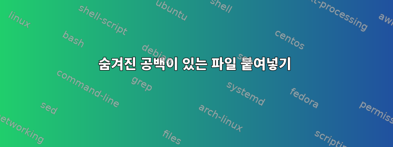 숨겨진 공백이 있는 파일 붙여넣기