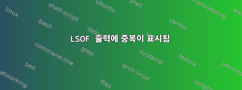 LSOF 출력에 중복이 표시됨