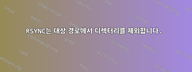 RSYNC는 대상 경로에서 디렉터리를 제외합니다.