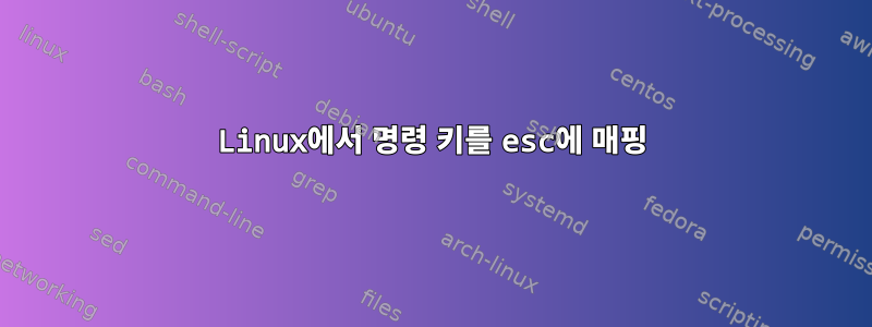 Linux에서 명령 키를 esc에 매핑