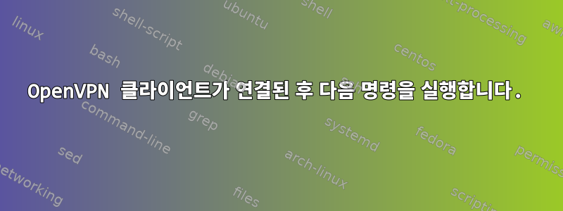 OpenVPN 클라이언트가 연결된 후 다음 명령을 실행합니다.