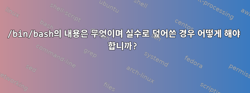 /bin/bash의 내용은 무엇이며 실수로 덮어쓴 경우 어떻게 해야 합니까?