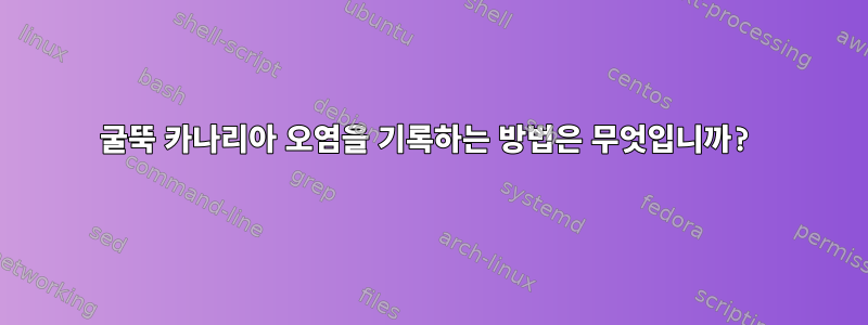 굴뚝 카나리아 오염을 기록하는 방법은 무엇입니까?