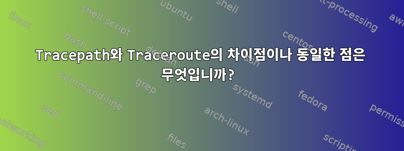 Tracepath와 Traceroute의 차이점이나 동일한 점은 무엇입니까?