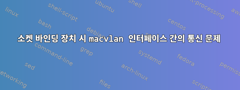 소켓 바인딩 장치 시 macvlan 인터페이스 간의 통신 문제