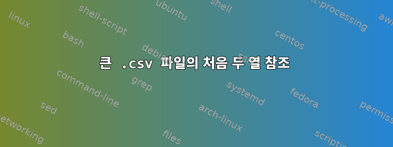 큰 .csv 파일의 처음 두 열 참조