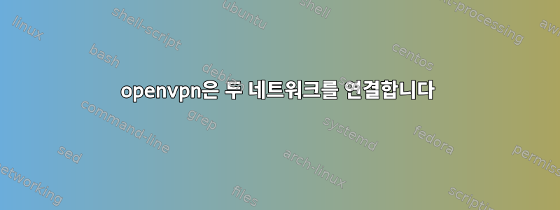 openvpn은 두 네트워크를 연결합니다