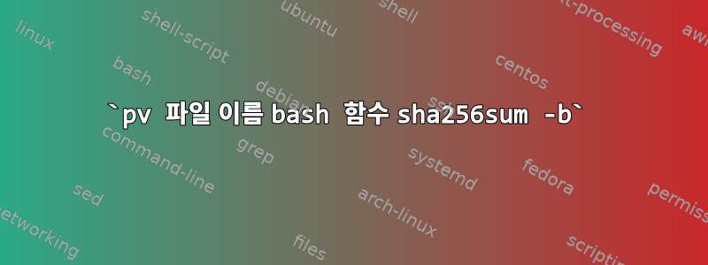 `pv 파일 이름 bash 함수 sha256sum -b`