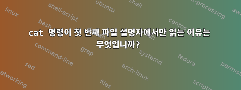 cat 명령이 첫 번째 파일 설명자에서만 읽는 이유는 무엇입니까?