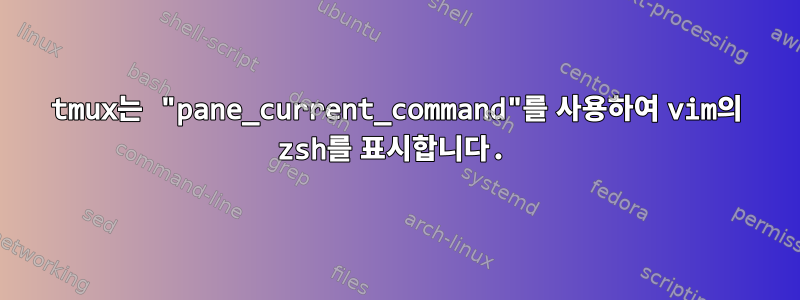 tmux는 "pane_current_command"를 사용하여 vim의 zsh를 표시합니다.