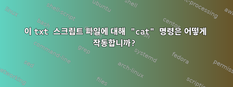 이 txt 스크립트 파일에 대해 "cat" 명령은 어떻게 작동합니까?