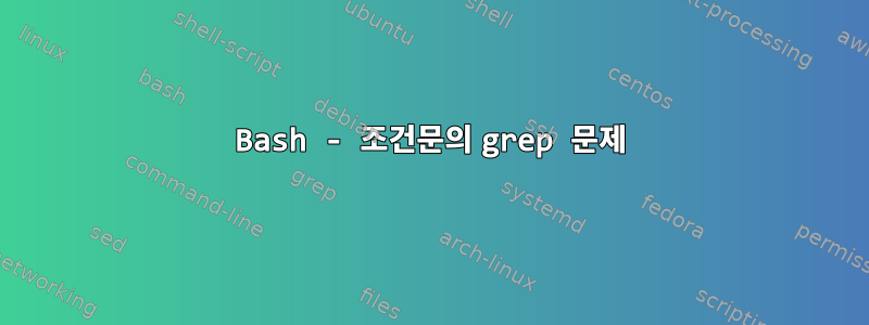 Bash - 조건문의 grep 문제