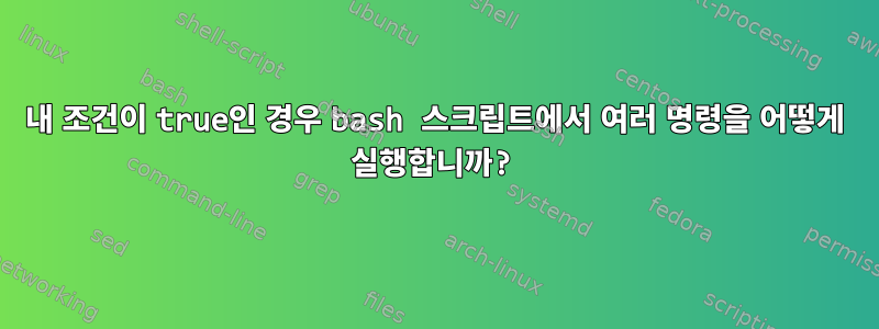 내 조건이 true인 경우 bash 스크립트에서 여러 명령을 어떻게 실행합니까?