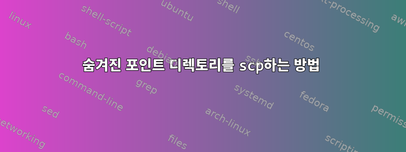 숨겨진 포인트 디렉토리를 scp하는 방법