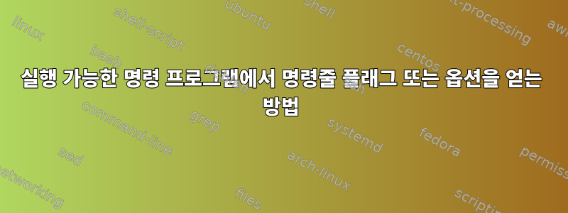 실행 가능한 명령 프로그램에서 명령줄 플래그 또는 옵션을 얻는 방법