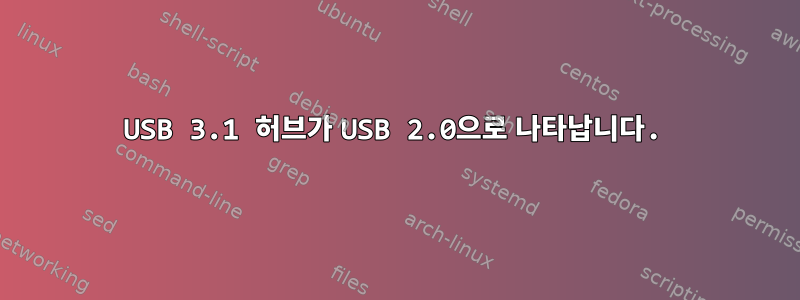 USB 3.1 허브가 USB 2.0으로 나타납니다.