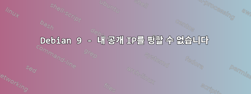 Debian 9 - 내 공개 IP를 핑할 수 없습니다