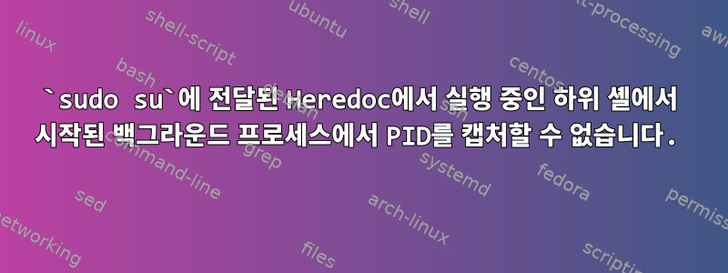 `sudo su`에 전달된 Heredoc에서 실행 중인 하위 셸에서 시작된 백그라운드 프로세스에서 PID를 캡처할 수 없습니다.