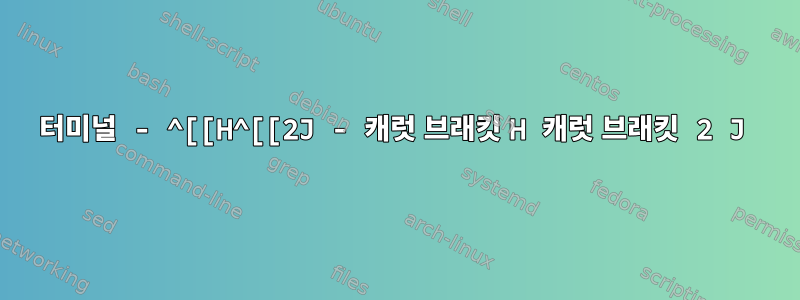 터미널 - ^[[H^[[2J - 캐럿 브래킷 H 캐럿 브래킷 2 J