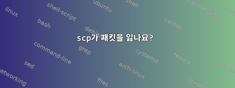 scp가 패킷을 잃나요?