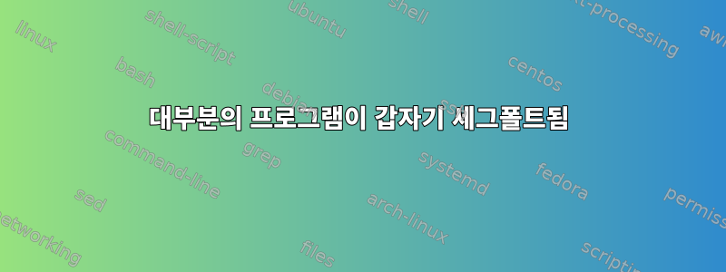 대부분의 프로그램이 갑자기 세그폴트됨