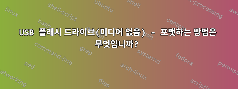 USB 플래시 드라이브(미디어 없음) - 포맷하는 방법은 무엇입니까?