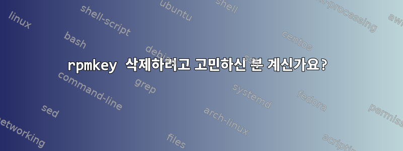 rpmkey 삭제하려고 고민하신 분 계신가요?