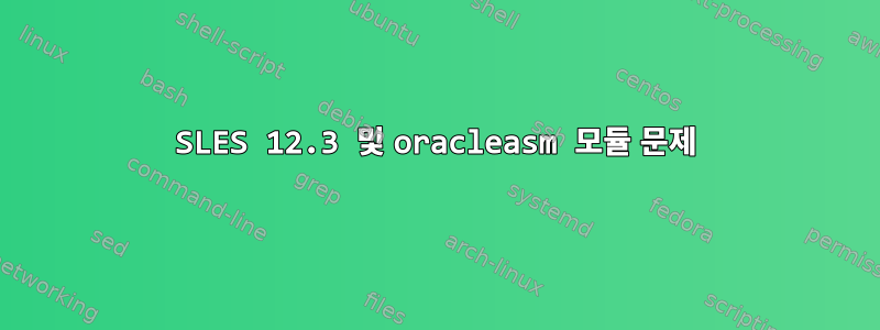 SLES 12.3 및 oracleasm 모듈 문제